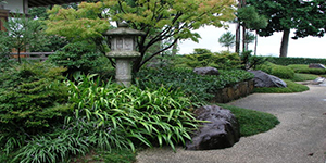 植木の管理業務